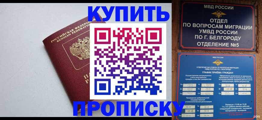 прописка регистрация в Сафоново